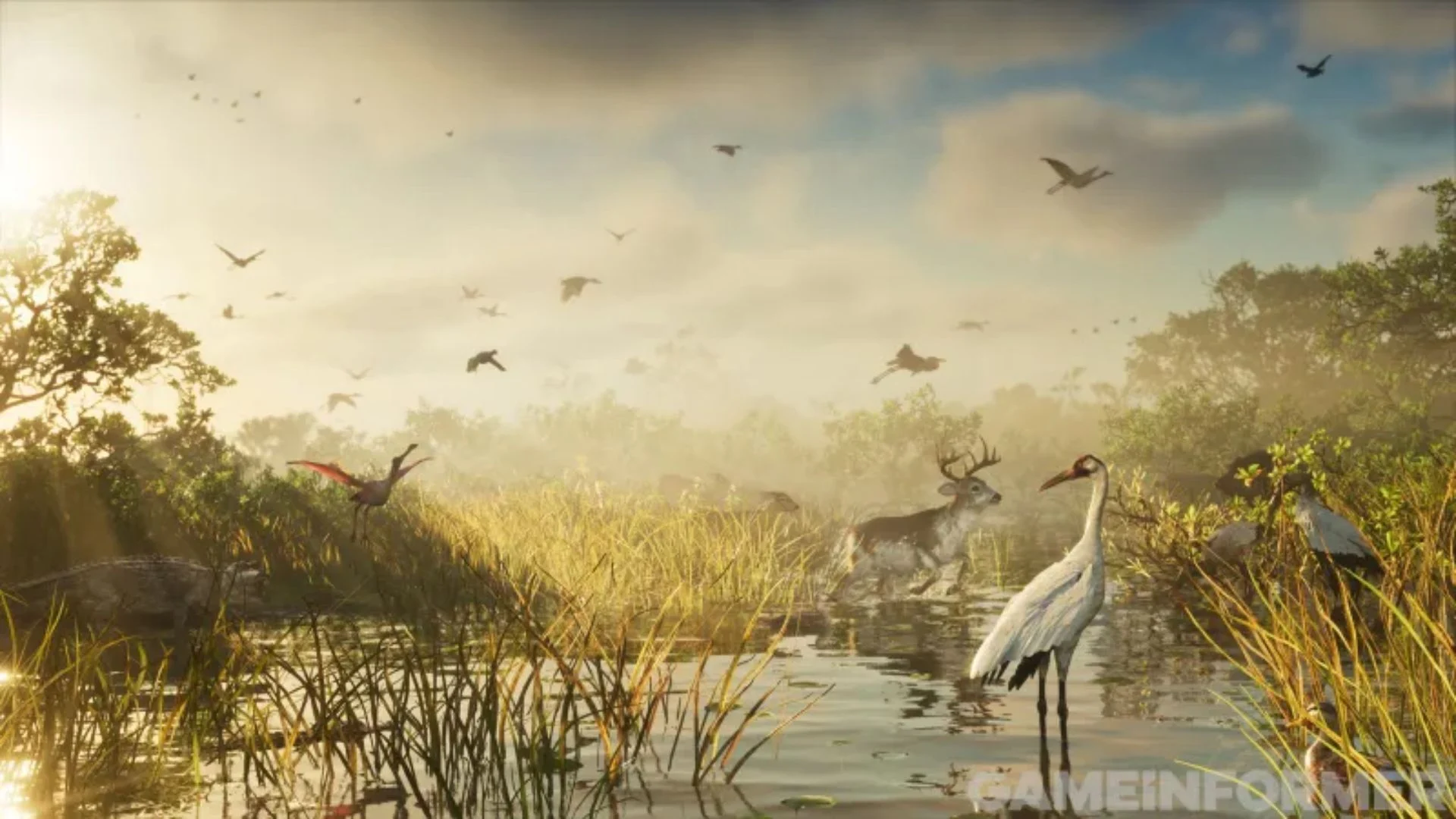 GTA 6 Cover Story Puts More Than 170 Animal Species in Leonida